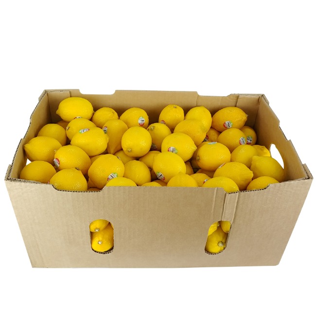 레몬1박스-약140개(개당565원, 약14kg)